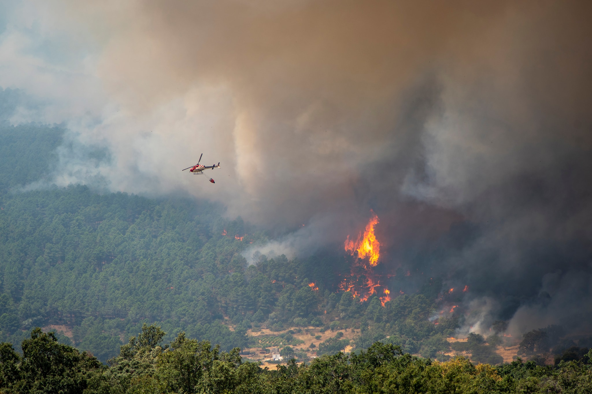 El incendio de Ávila ha quemado 50.000 hectáreas, el mayor fuego de la historia de España, y la situación es aún "compleja"