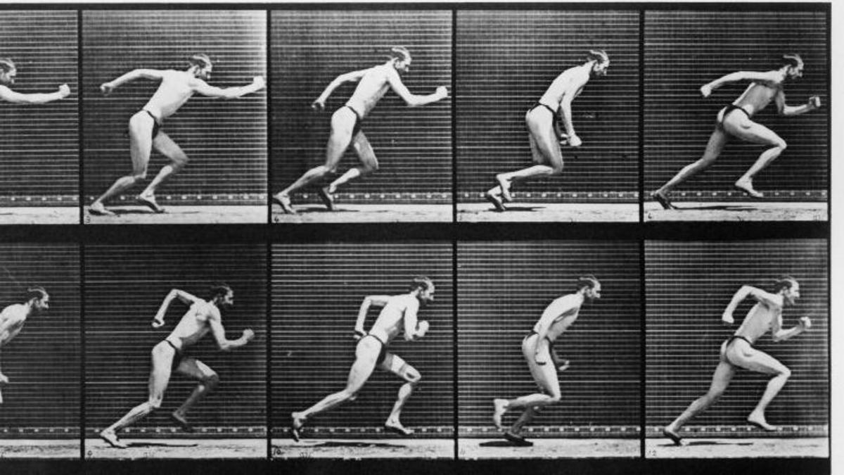 A qué animales les podrías ganar en una carrera (y por qué no evolucionamos para ser los más veloces)