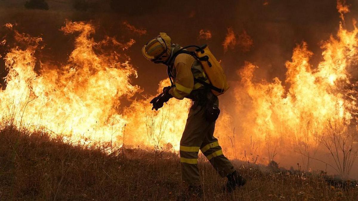 "Es el peor incendio de la historia de Madrid": los fuegos sin control que han obligado a evacuar a decenas de miles de personas en el centro de España