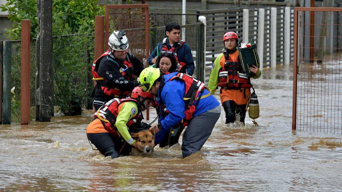 Los graves efectos que los científicos pronostican en América Latina por el fenómeno del "Súper El Niño"