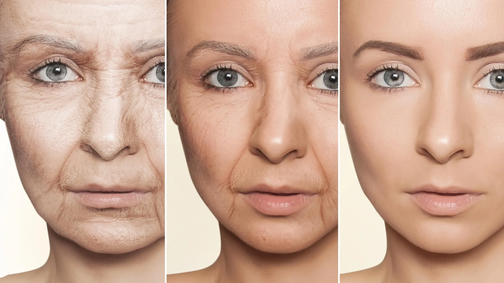 Stanford scientists discover a seafood that can reverse signs of aging