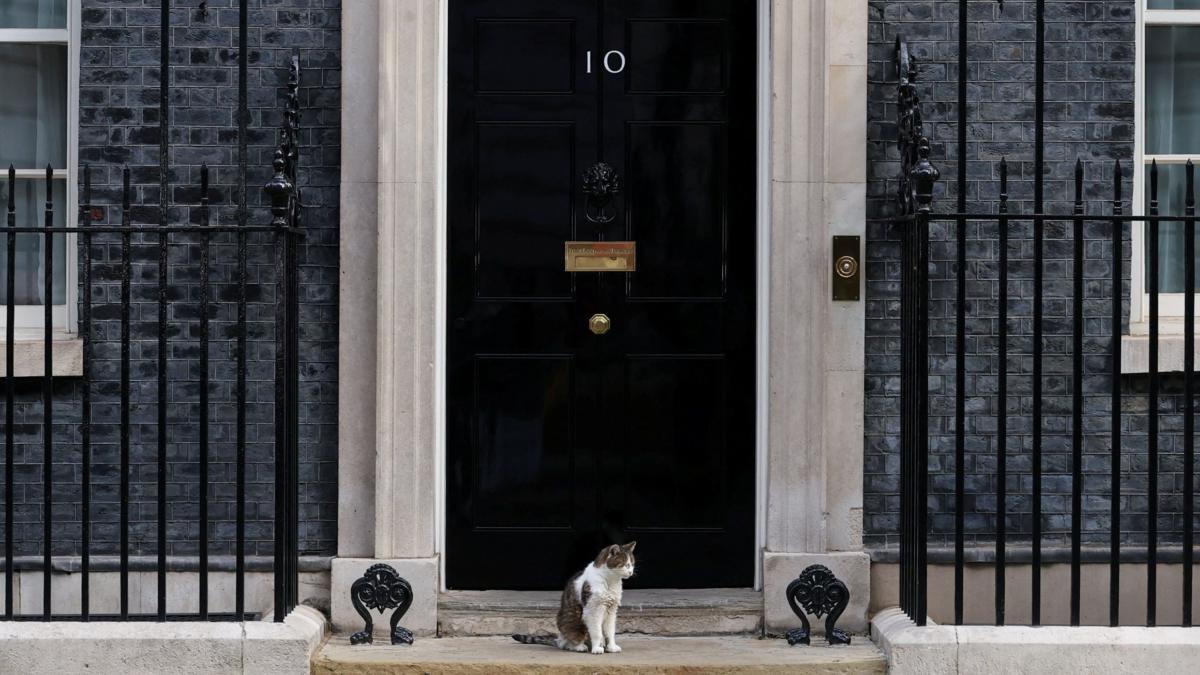Fake 10 Downing Street listing exposes 'unfit' Booking.com, says consumer group