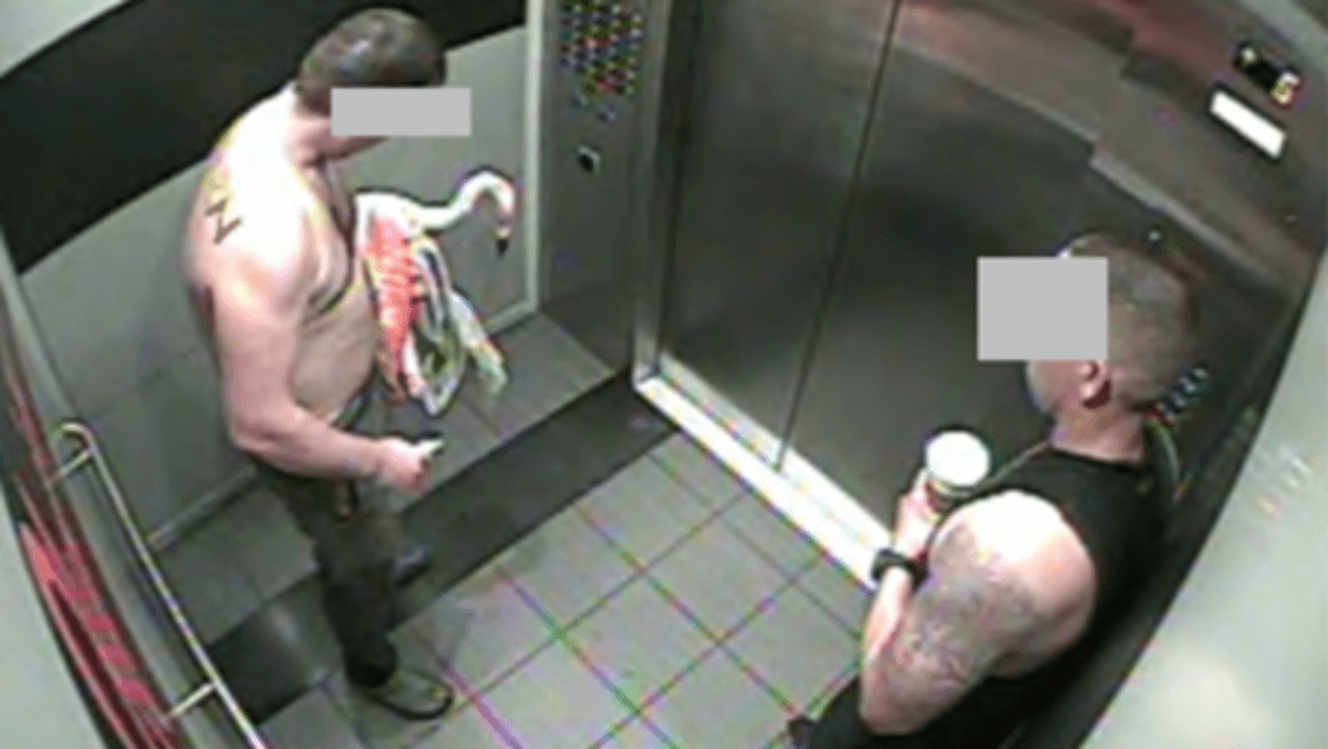 Canadian tourist found guilty of animal cruelty after stealing Las Vegas flamingo from enclosure