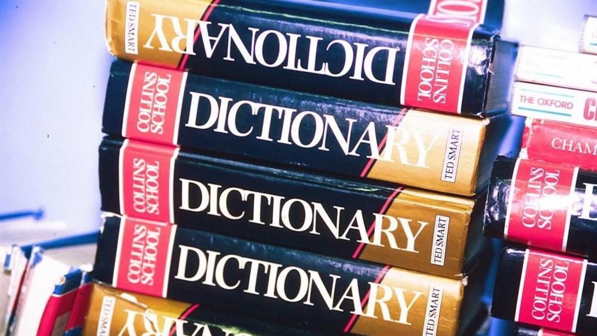 'Maxxing' selected as Dictionary.com word of the year