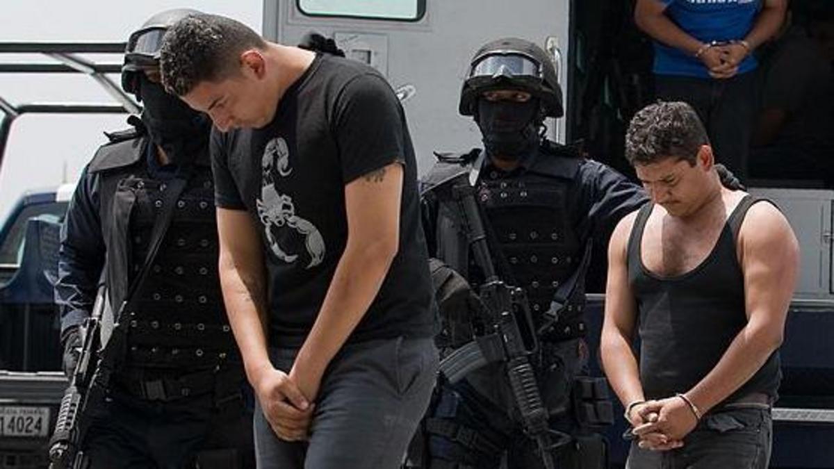 "Los carteles no existen": la provocadora idea que desafía la guerra contra el narco
