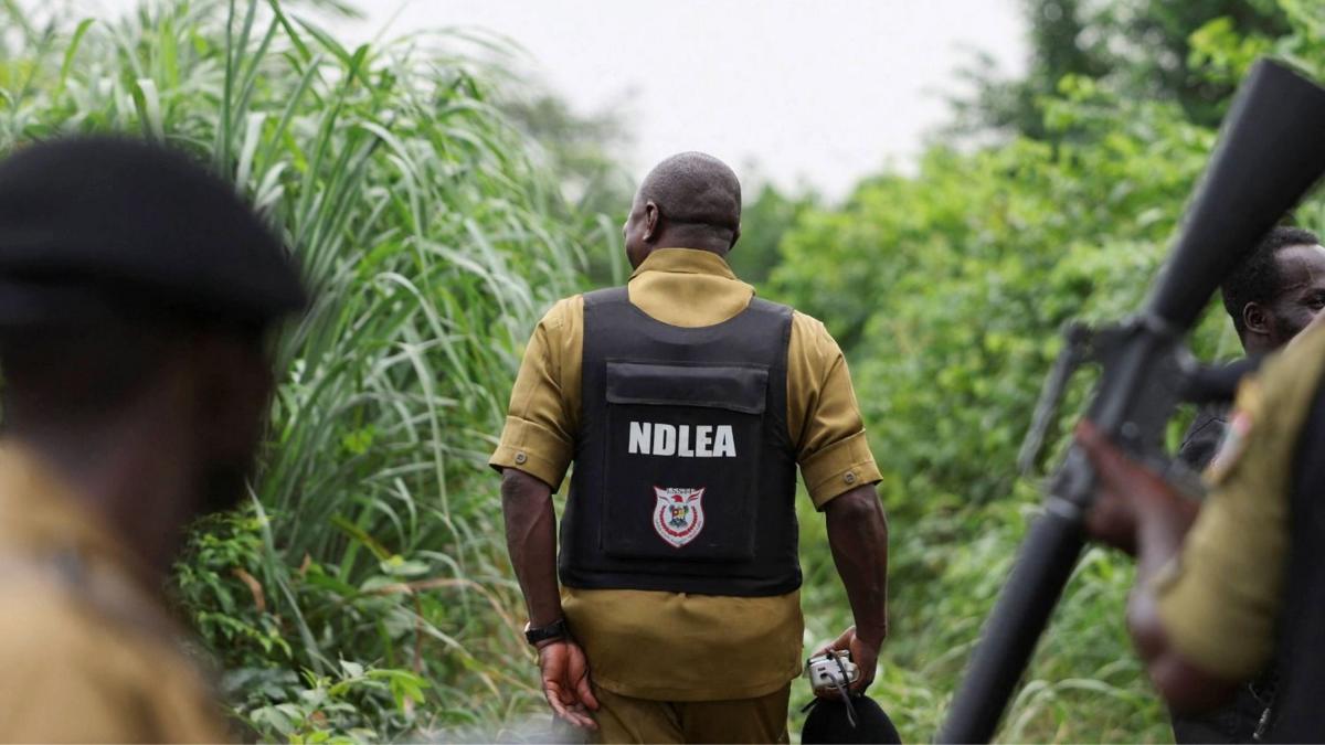 Cómo los carteles mexicanos de la droga han expandido los laboratorios de metanfetamina en África