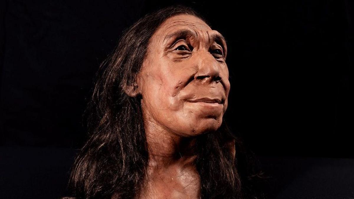 La herida que sugiere que los neandertales eran más violentos de lo que se creía
