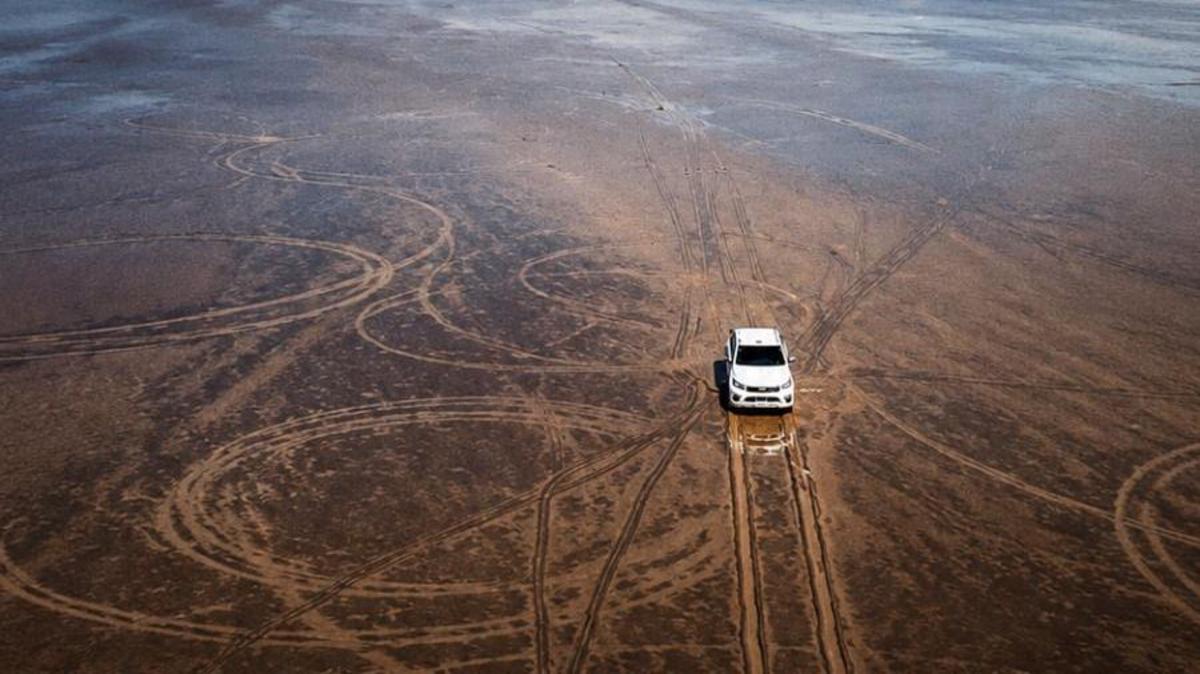 La indignación por el daño que causó un hombre con su camioneta en la Pampa del Leoncito, un ecosistema único de Argentina