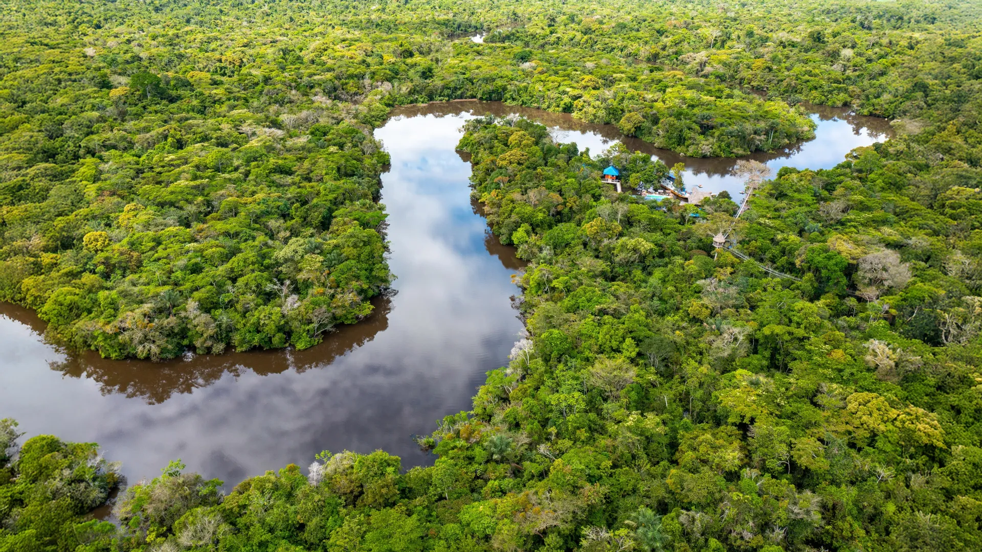 Amazon study reveals the best strategies for protecting biodiversity and carbon
