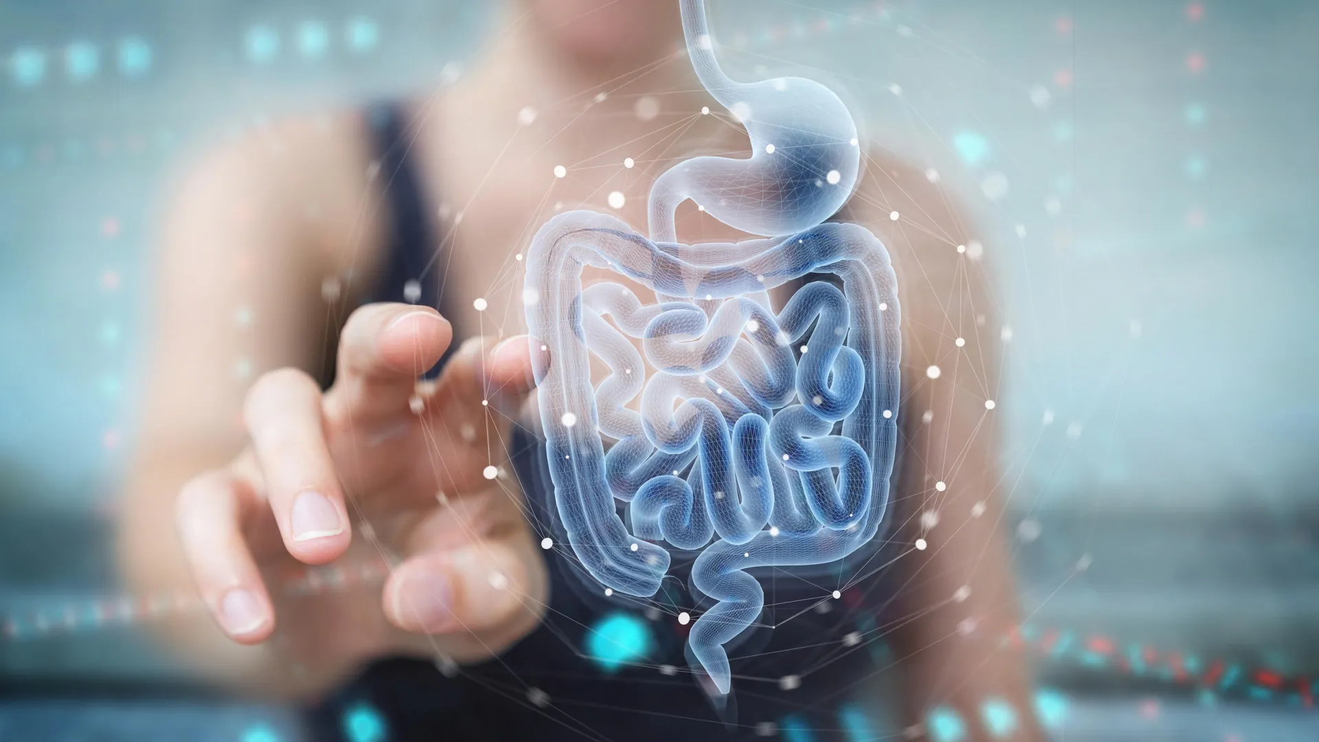 Scientists find a natural gut compound that helps heal the intestine