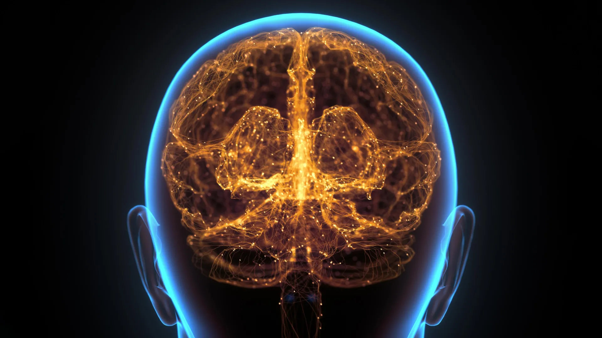 Hidden “immune organ” in the skull may help fight brain cancer
