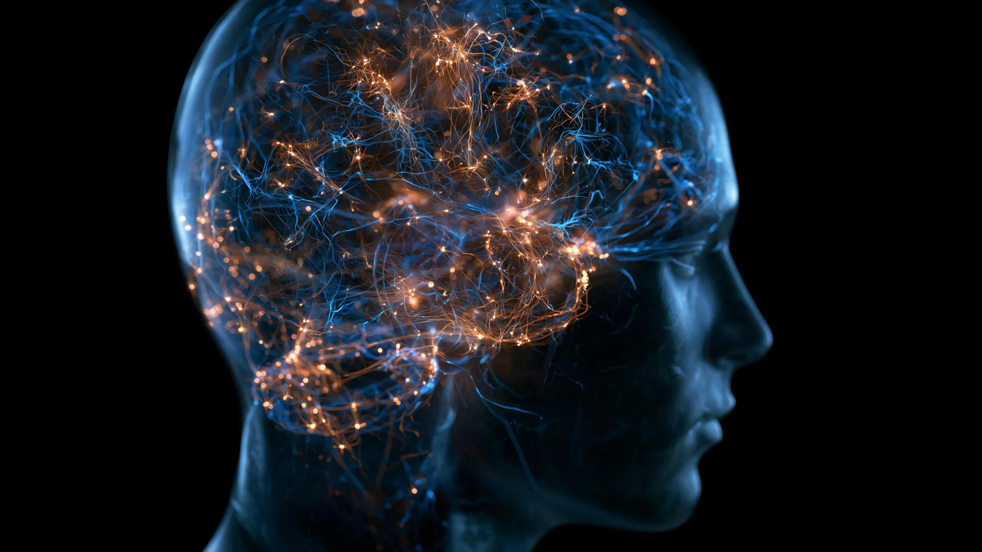 Scientists discover a major brain shift between ages 50 and 75