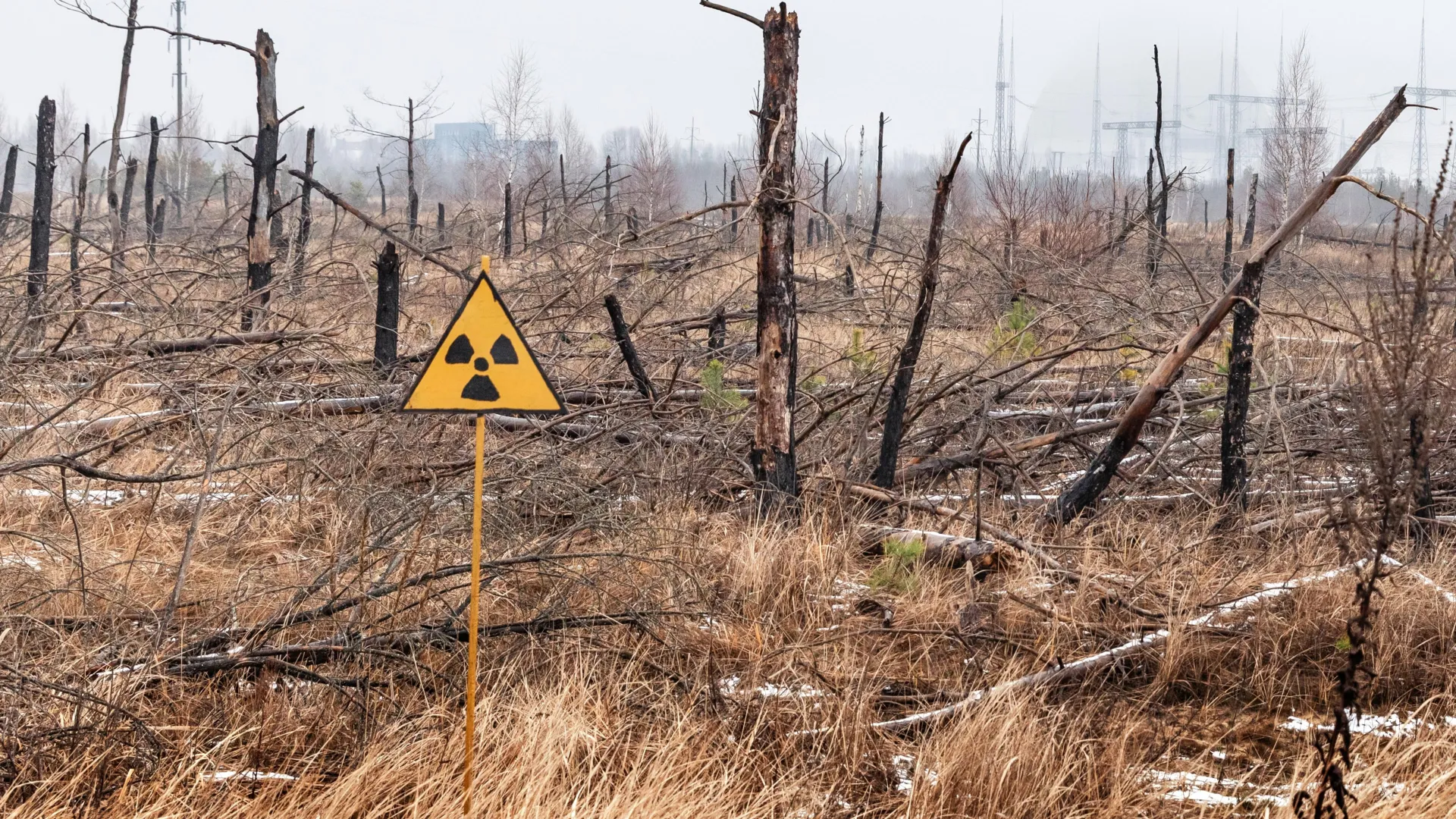 40 years later, Chernobyl's nuclear fallout is not what scientists expected