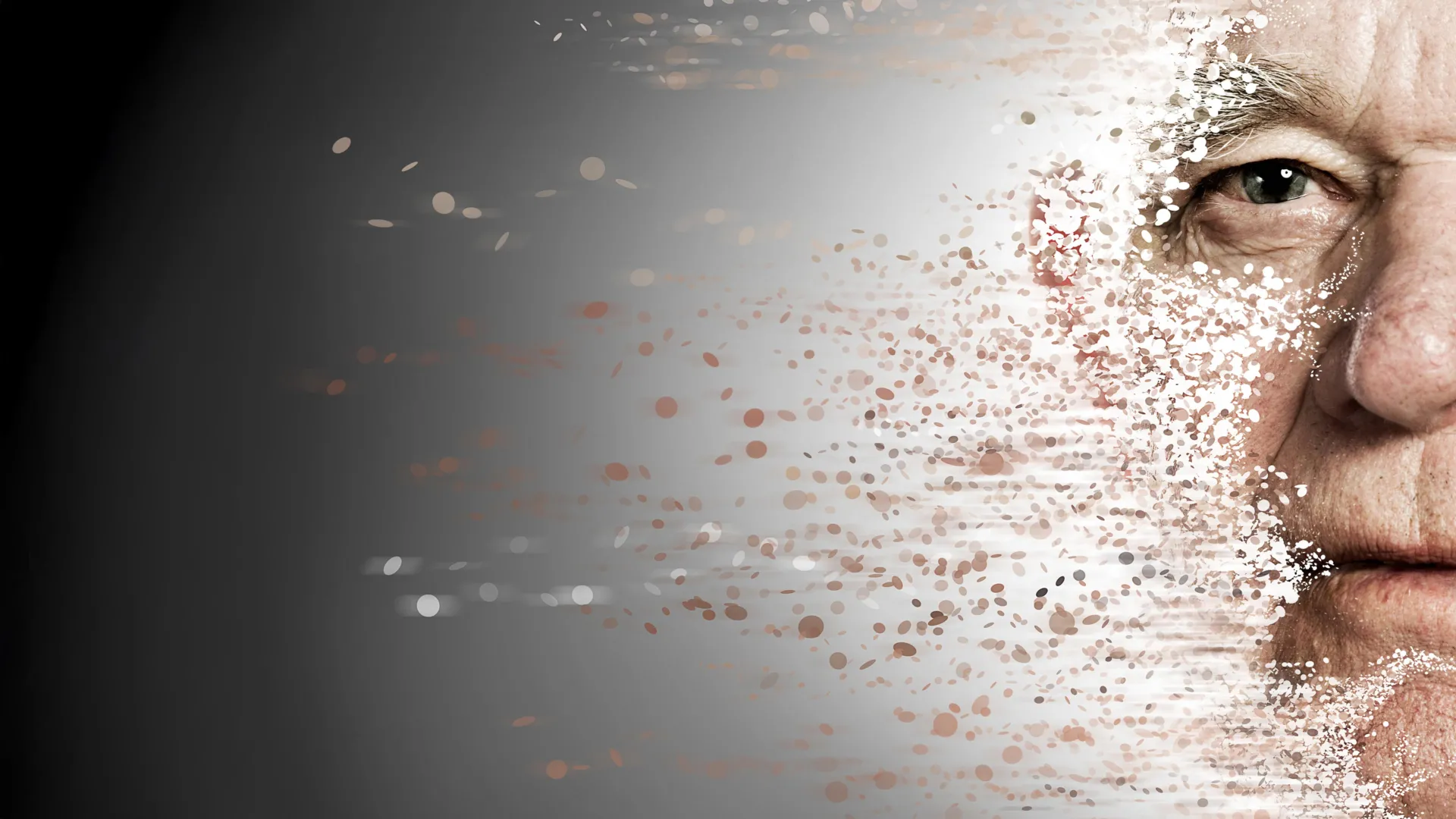 Scientists find an immune “false alarm” that may drive rapid aging