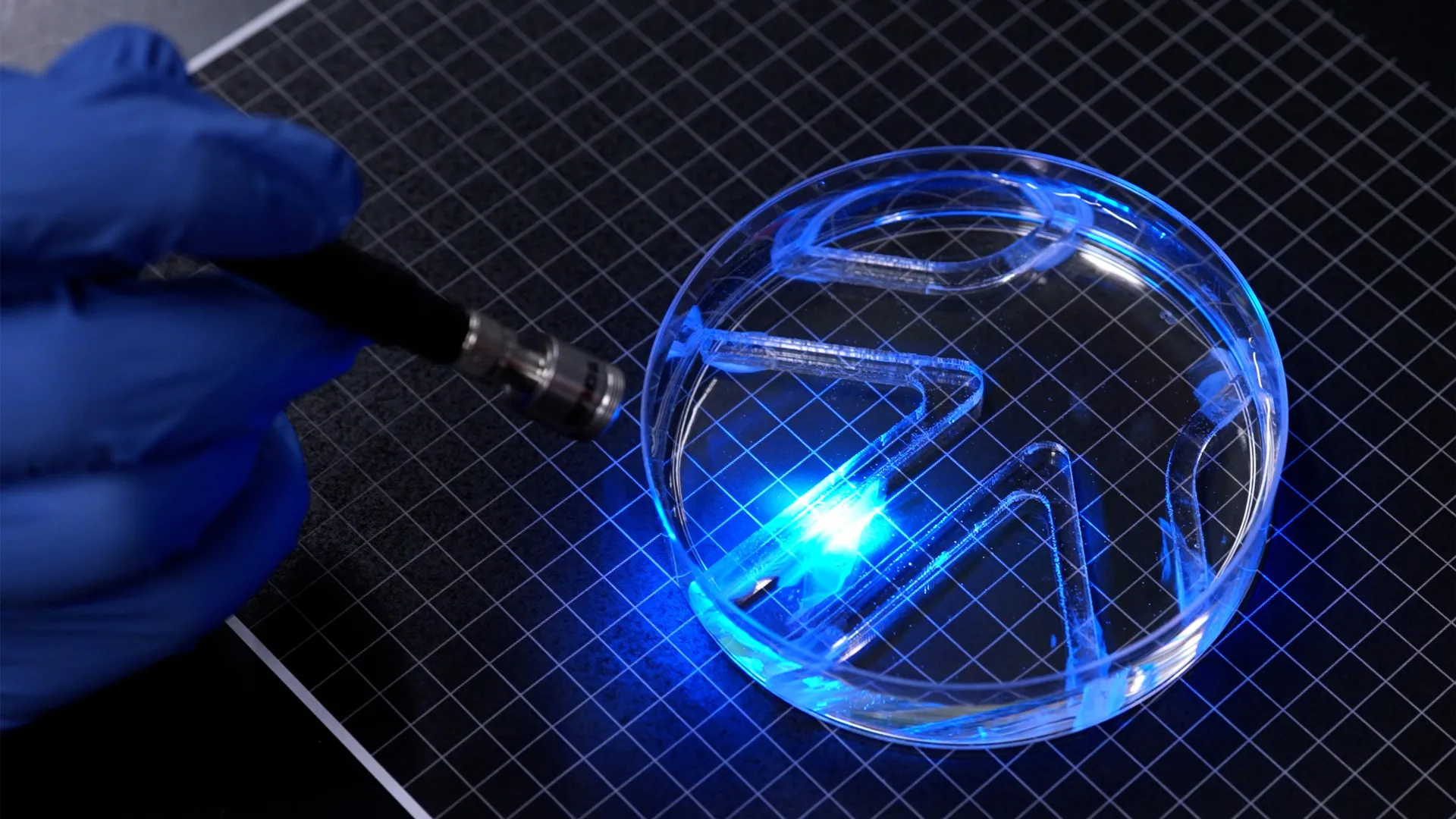 MIT scientists build a tiny robot that swims using living muscle cells
