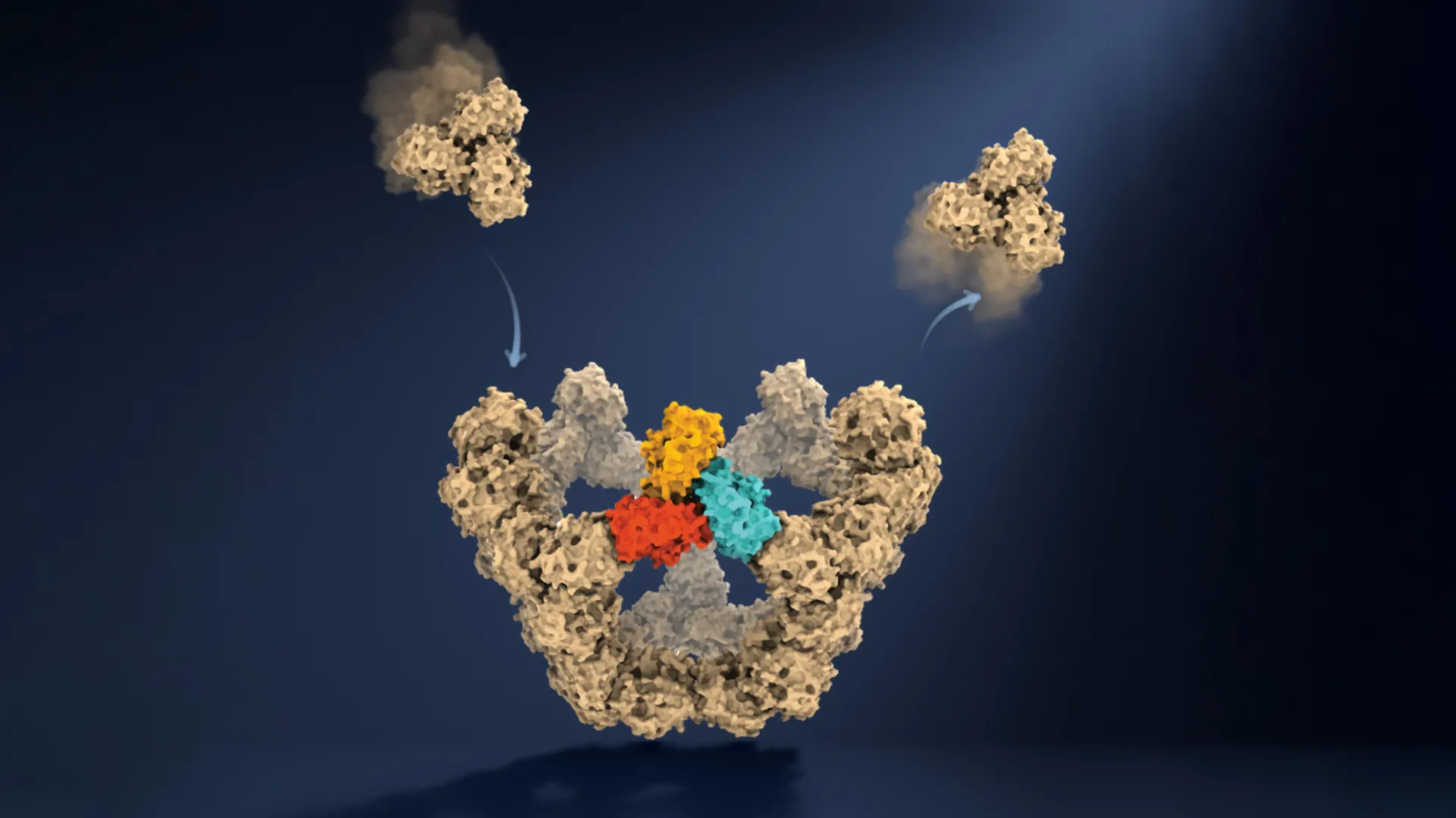 Oxford scientists discover how viruses build themselves without a blueprint
